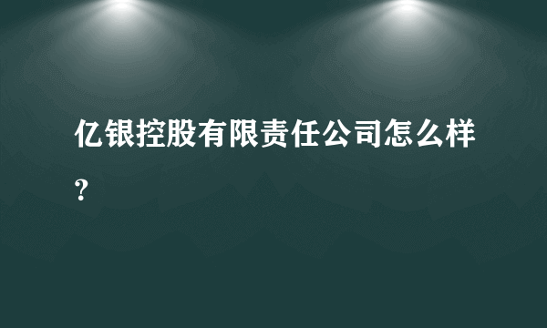 亿银控股有限责任公司怎么样？