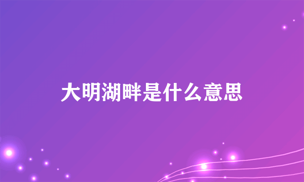 大明湖畔是什么意思