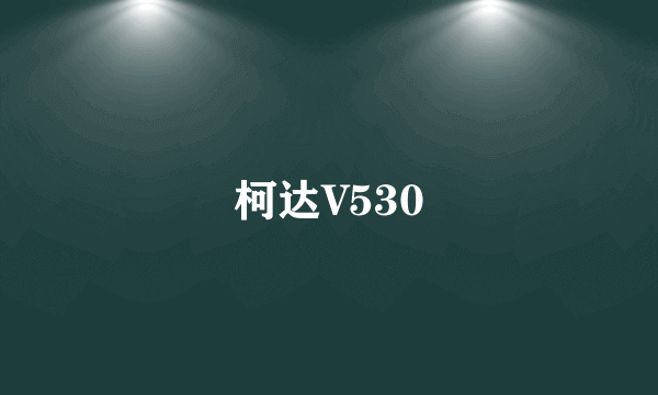 柯达V530