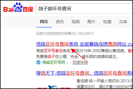 鸽子足环号查询怎么查