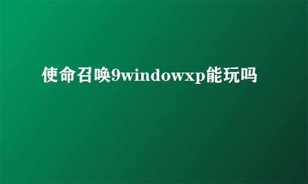 使命召唤9windowxp能玩吗