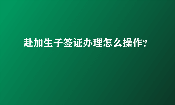 赴加生子签证办理怎么操作？