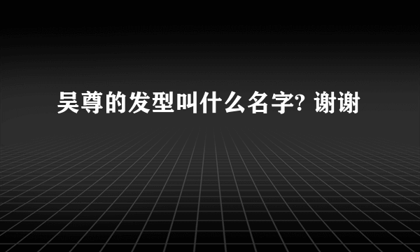 吴尊的发型叫什么名字? 谢谢