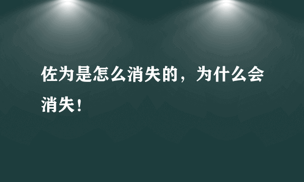 佐为是怎么消失的，为什么会消失！