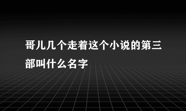 哥儿几个走着这个小说的第三部叫什么名字