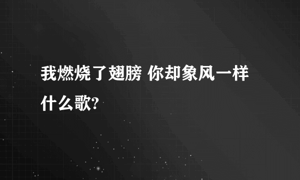 我燃烧了翅膀 你却象风一样 什么歌?