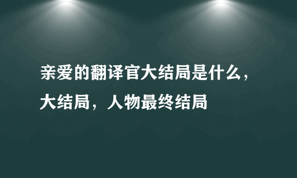 亲爱的翻译官大结局是什么，大结局，人物最终结局