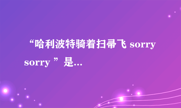 “哈利波特骑着扫帚飞 sorry sorry ”是什么歌？