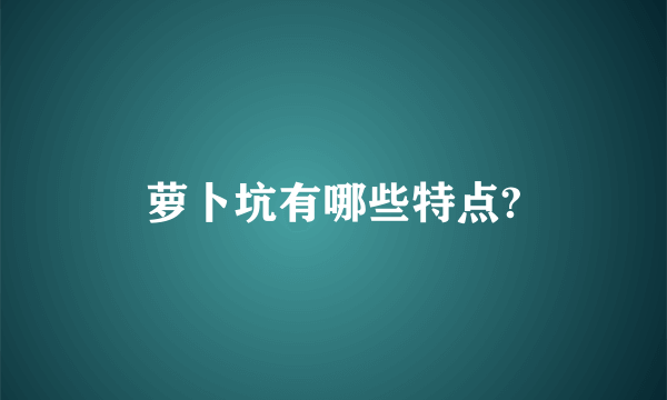 萝卜坑有哪些特点?