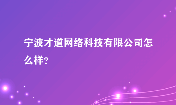 宁波才道网络科技有限公司怎么样？