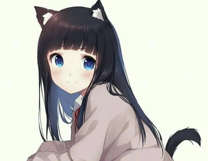 小奶猫什么意思？