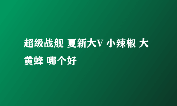 超级战舰 夏新大V 小辣椒 大黄蜂 哪个好