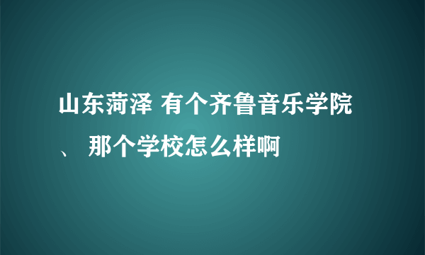 山东菏泽 有个齐鲁音乐学院、 那个学校怎么样啊