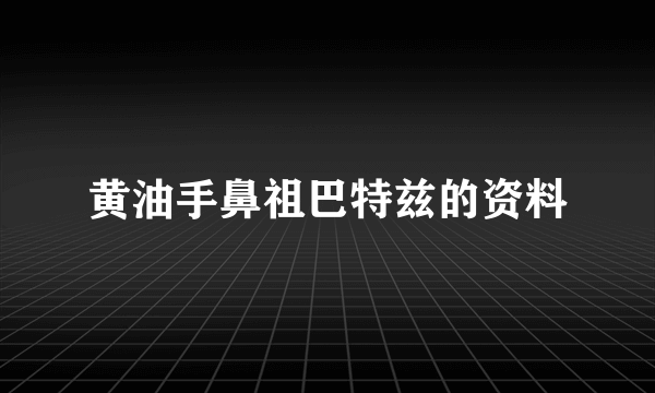 黄油手鼻祖巴特兹的资料