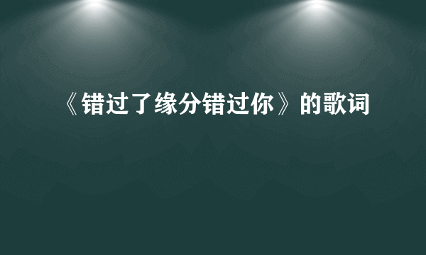 《错过了缘分错过你》的歌词