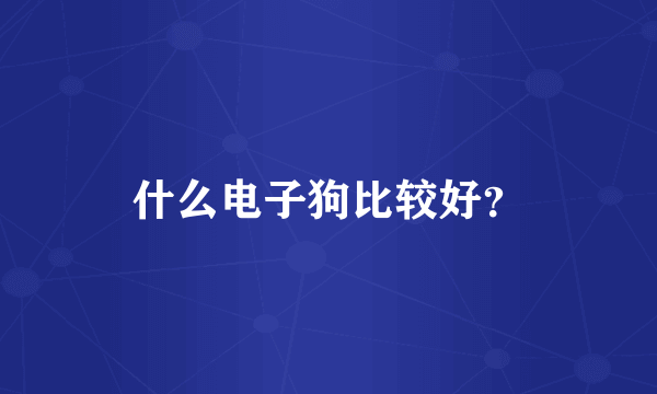 什么电子狗比较好？