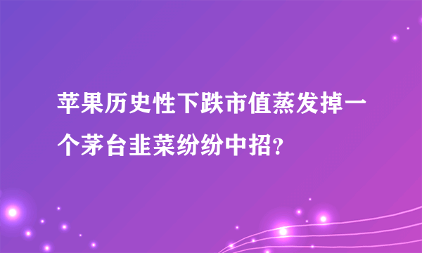 苹果历史性下跌市值蒸发掉一个茅台韭菜纷纷中招？