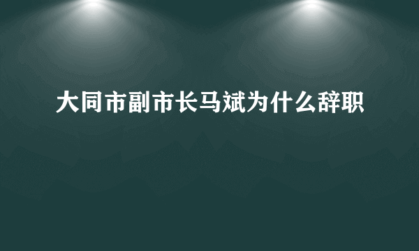 大同市副市长马斌为什么辞职