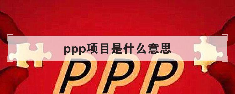 ppp项目是什么意思