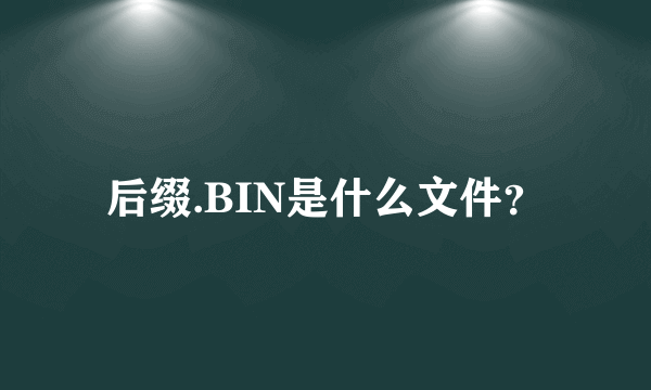 后缀.BIN是什么文件？