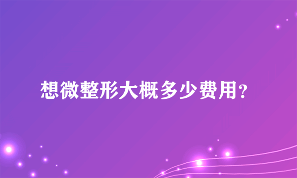 想微整形大概多少费用？