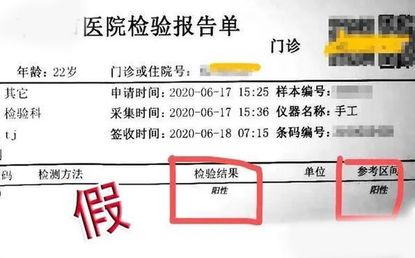 2人篡改核酸检测报告回国，这两人行为是否已经构成犯罪？