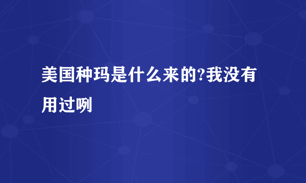 美国种玛是什么来的?我没有用过咧