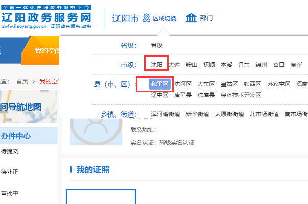 辽阳政务服务网官网进去怎么切换区域？