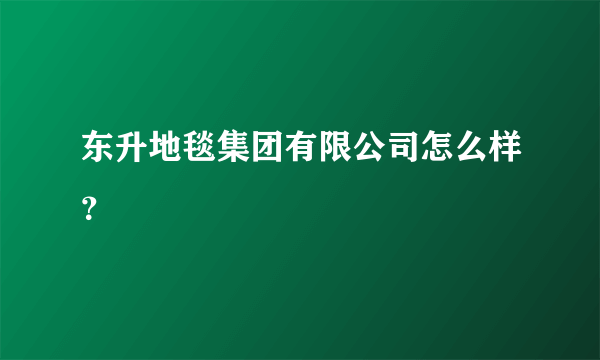 东升地毯集团有限公司怎么样？