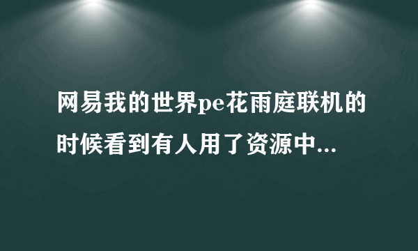 网易我的世界pe花雨庭联机的时候看到有人用了资源中心里没有的皮肤是怎么回事