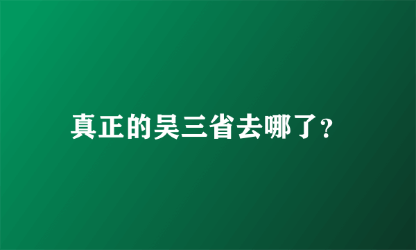 真正的吴三省去哪了？