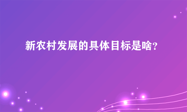 新农村发展的具体目标是啥？