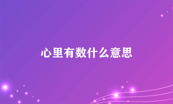 心里有数什么意思