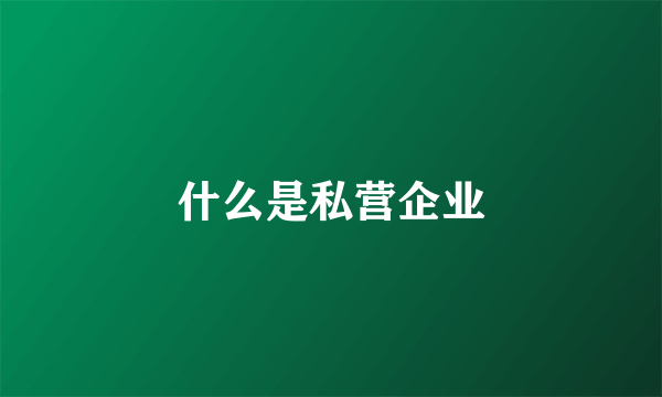 什么是私营企业