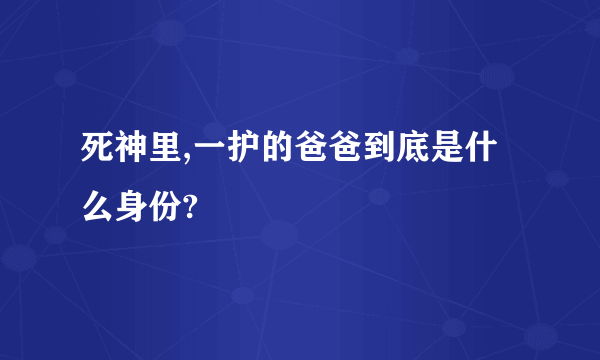 死神里,一护的爸爸到底是什么身份?