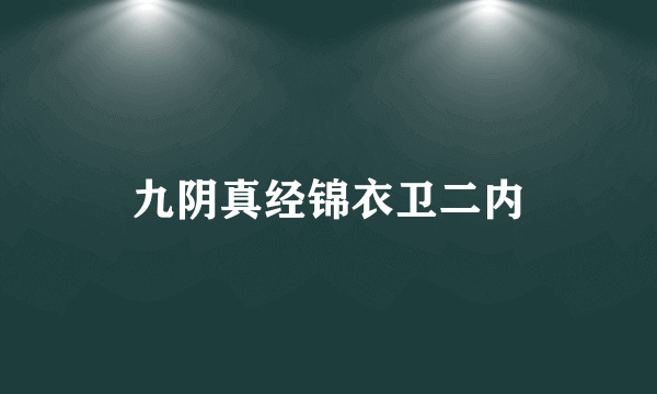 九阴真经锦衣卫二内