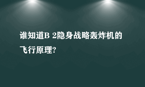 谁知道B 2隐身战略轰炸机的飞行原理?