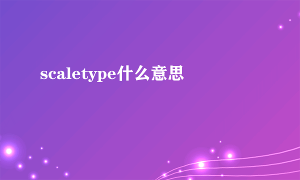 scaletype什么意思