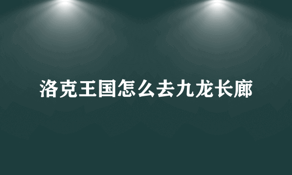 洛克王国怎么去九龙长廊