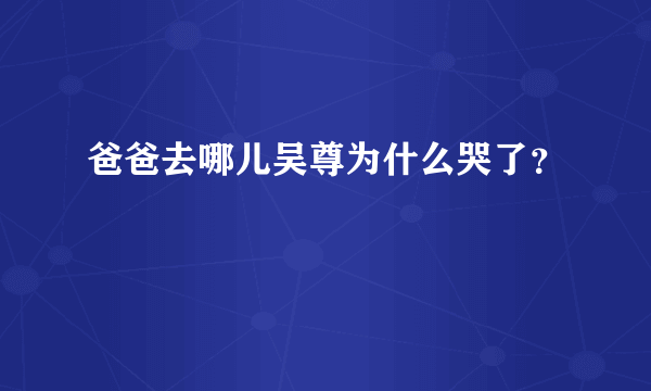 爸爸去哪儿吴尊为什么哭了？