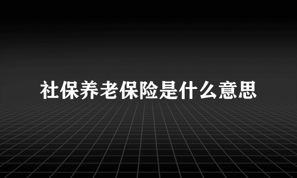 社保养老保险是什么意思