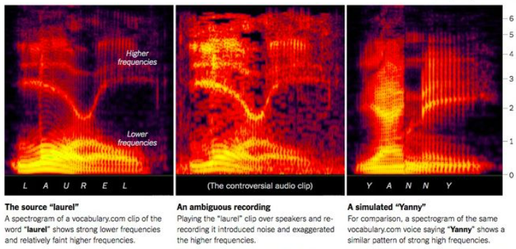 如何解释有些人听到Yanny,其他人听到Laurel?