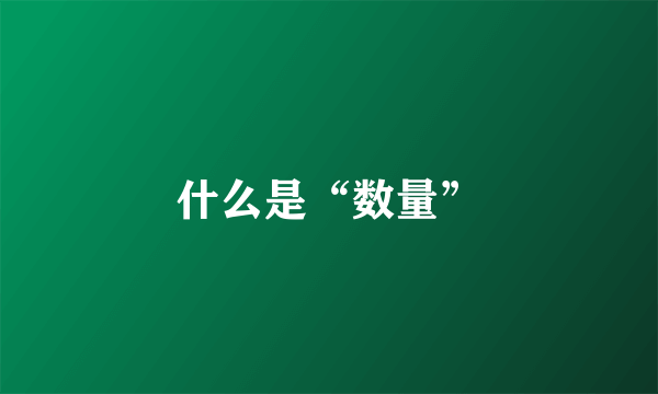 什么是“数量”