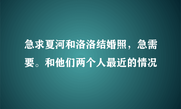 急求夏河和洛洛结婚照，急需要。和他们两个人最近的情况