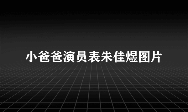 小爸爸演员表朱佳煜图片