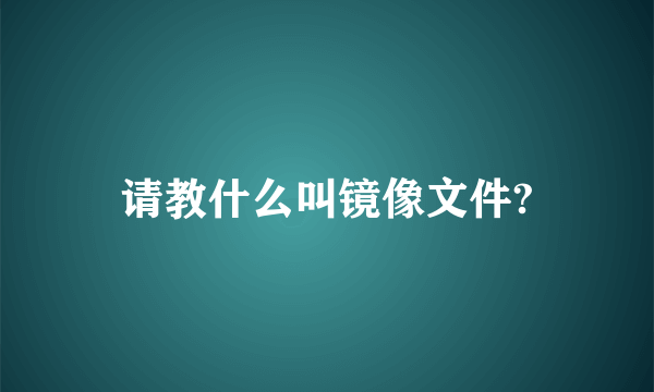 请教什么叫镜像文件?