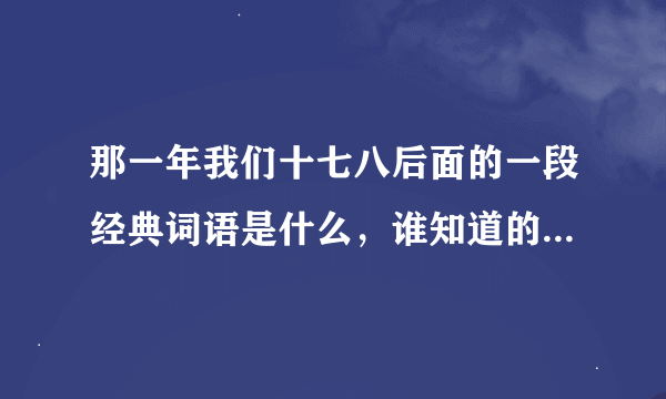 那一年我们十七八后面的一段经典词语是什么，谁知道的，告诉我，谢谢了！