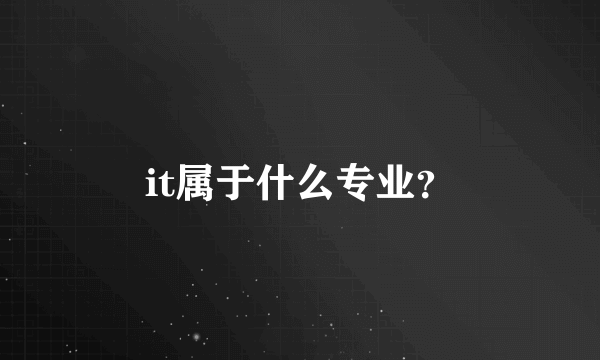 it属于什么专业？