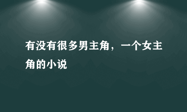 有没有很多男主角，一个女主角的小说