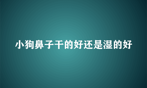 小狗鼻子干的好还是湿的好